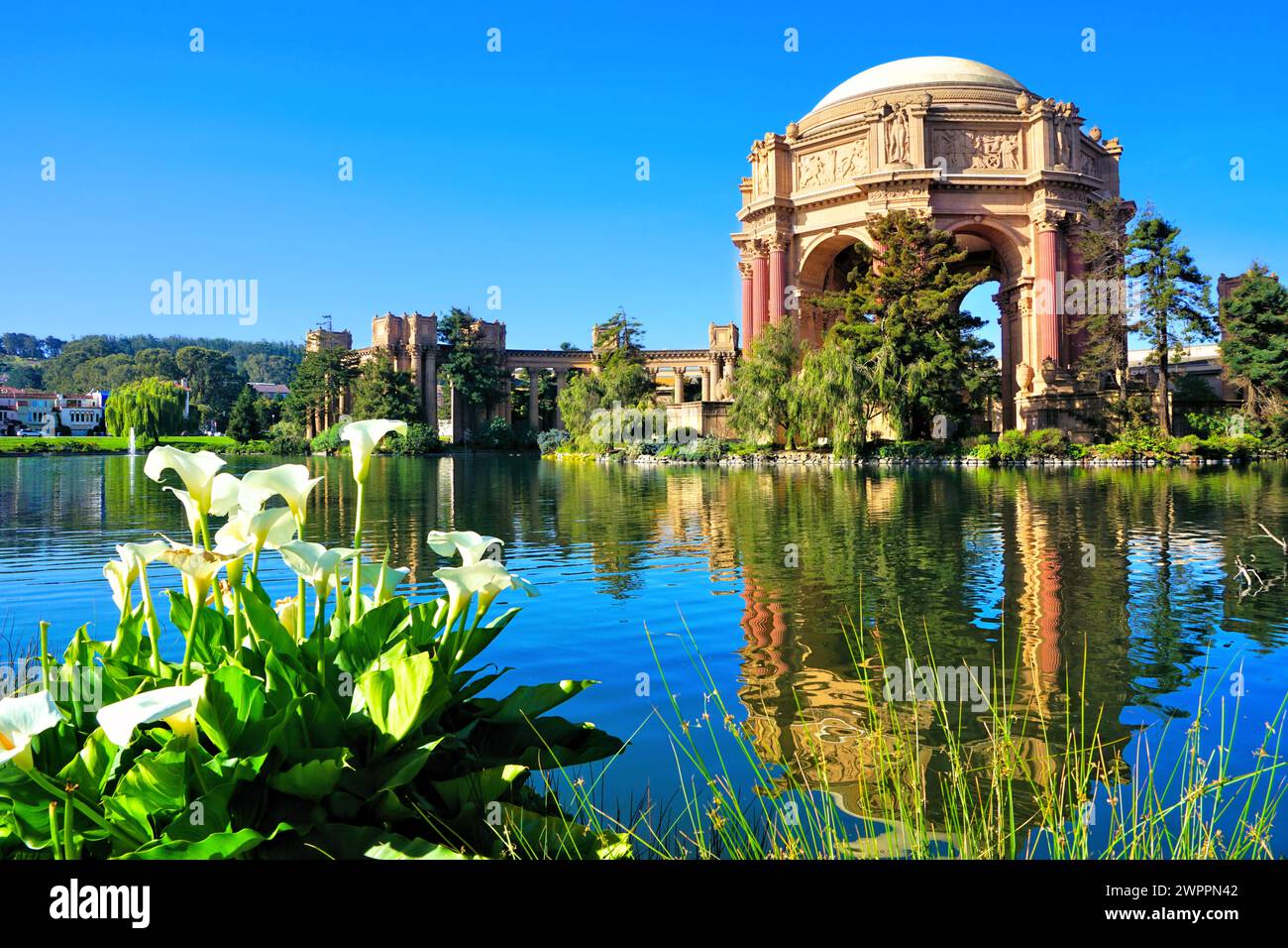 Palace of Fine Arts mit Blumen und Reflexen unter blauem Himmel, San Francisco, Kalifornien, USA Stockfoto