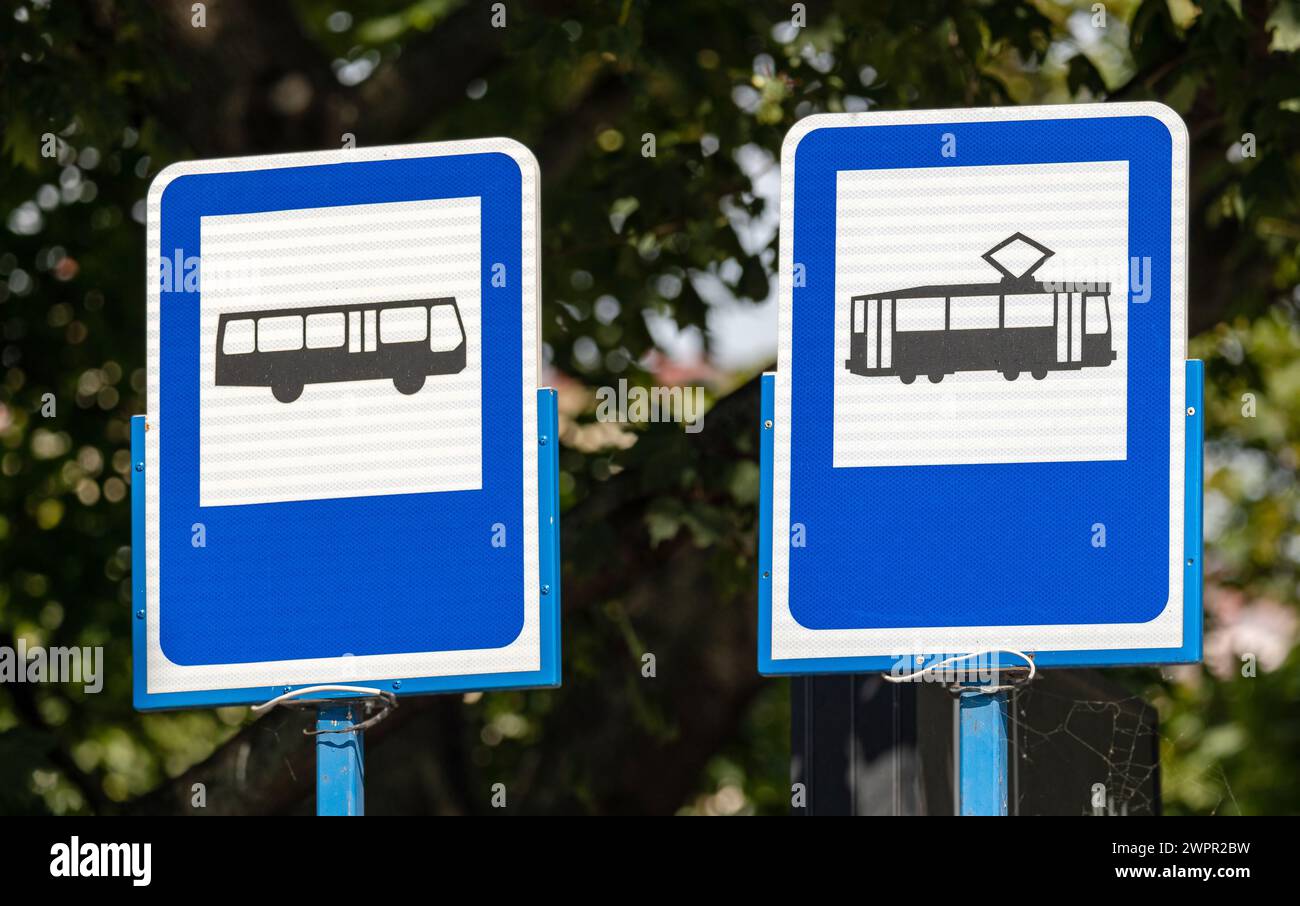 Blaue Bus- und Straßenbahnschilder nebeneinander, Objekt-Nahaufnahme, vor einem verschwommenen Baumhintergrund, Tageslicht, niemand. Städtische Verkehrsmittel, Verkehrsmittel Stockfoto