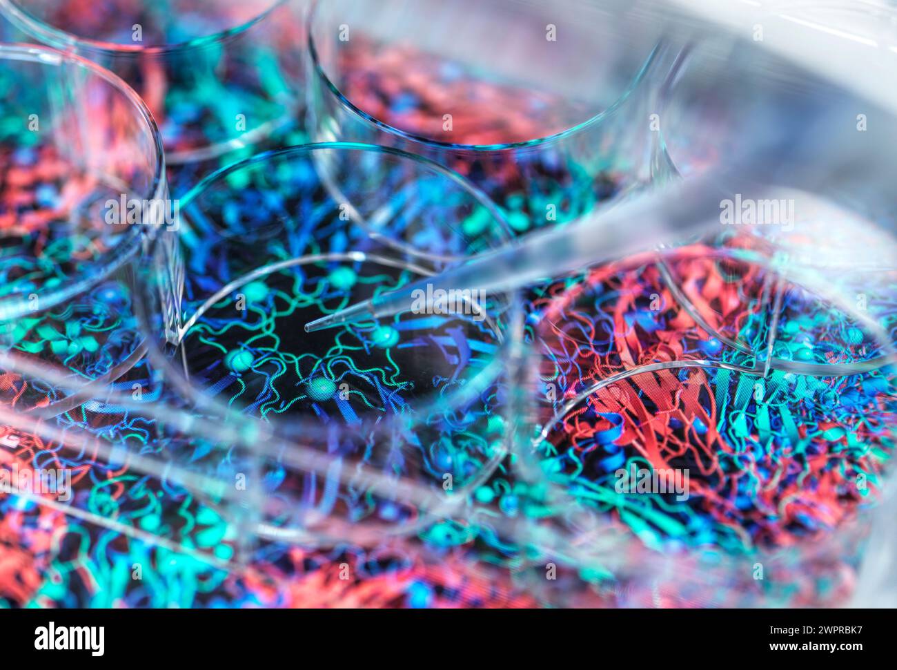 Infektionskrankheitsforschung, konzeptionelles Bild Stockfoto