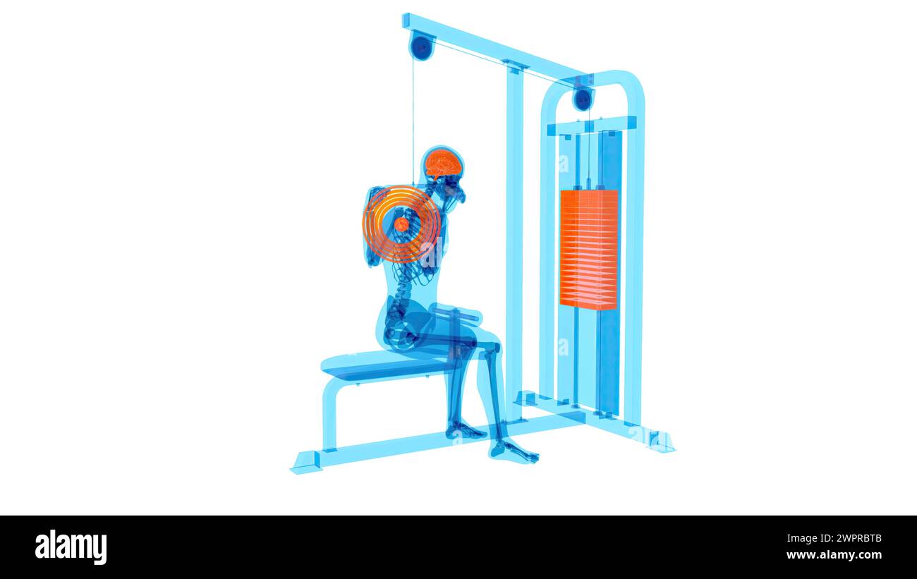 Mann mit Lat Pulldown-Maschine, Abbildung Stockfoto