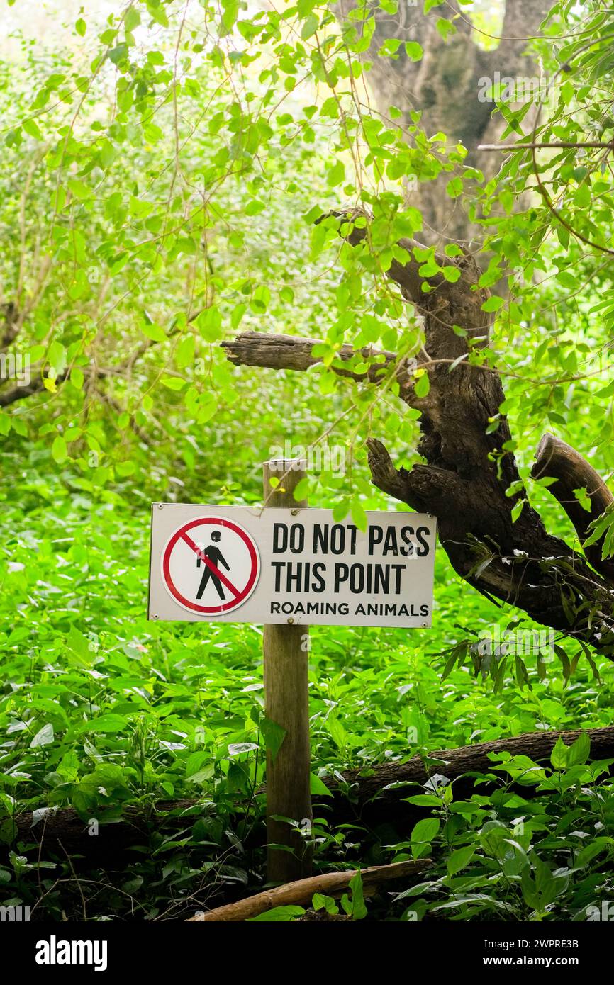 Ein klares, rot-weißes Schild mit der Aufschrift Don Not Pass this Point steht in einem dichten Waldgebiet deutlich sichtbar und weist darauf hin, dass der Zugang darüber hinaus eingeschränkt ist Stockfoto