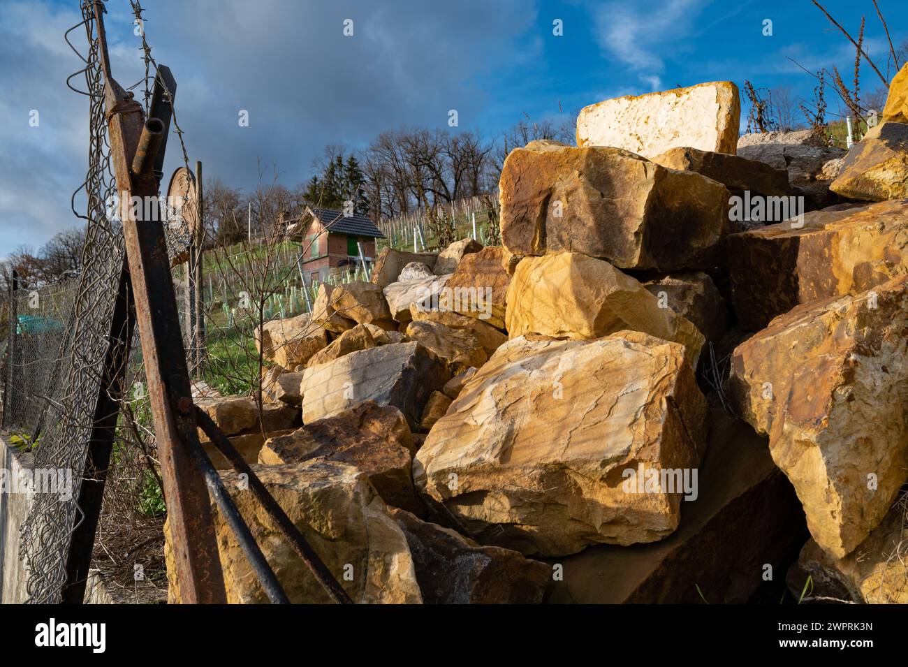Alter Weinberg: Blick auf den Weinberg vorbei an Natursteinen und alten Zaun im Winter. Stockfoto