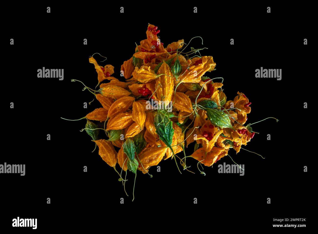 Nahaufnahme von oben auf farbenfrohe momordica charantia aka Bittermelone, goya, Bitterapfel oder Balsambirne isoliert auf schwarzem Hintergrund Stockfoto