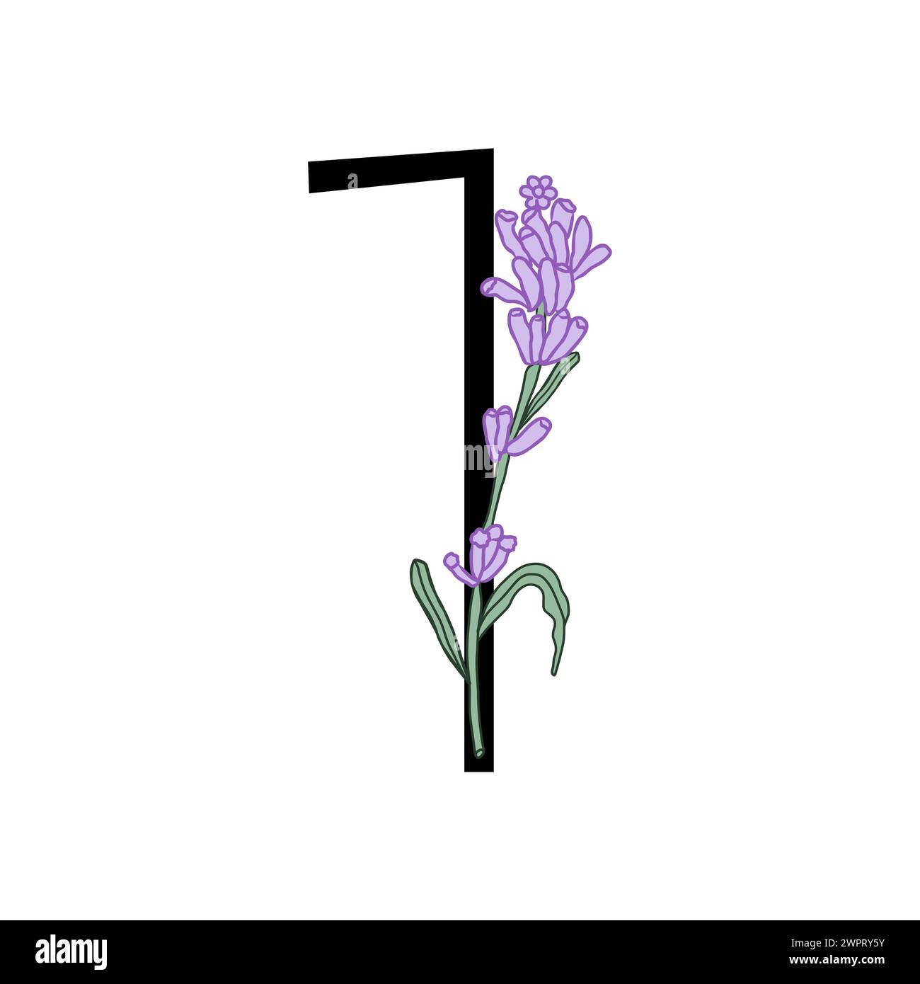 Lavendelblüte violett kleine Blume Handzeichnung Nummer für Hochzeitsdesign von Karte oder Einladung. Vektorillustrationen, isoliert auf weißem Hintergrund Stock Vektor