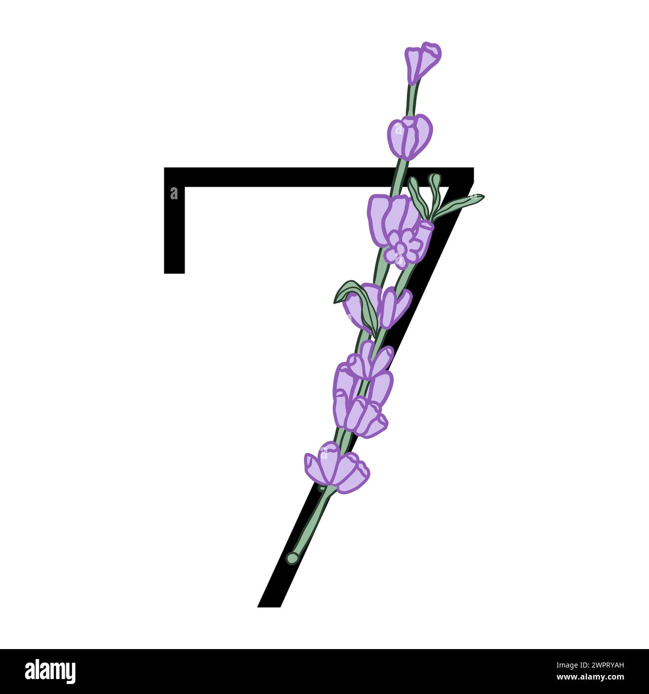 Lavendelblüte violett kleine Blume Handzeichnung Nummer für Hochzeitsdesign von Karte oder Einladung. Vektorillustrationen, isoliert auf weißem Hintergrund Stock Vektor