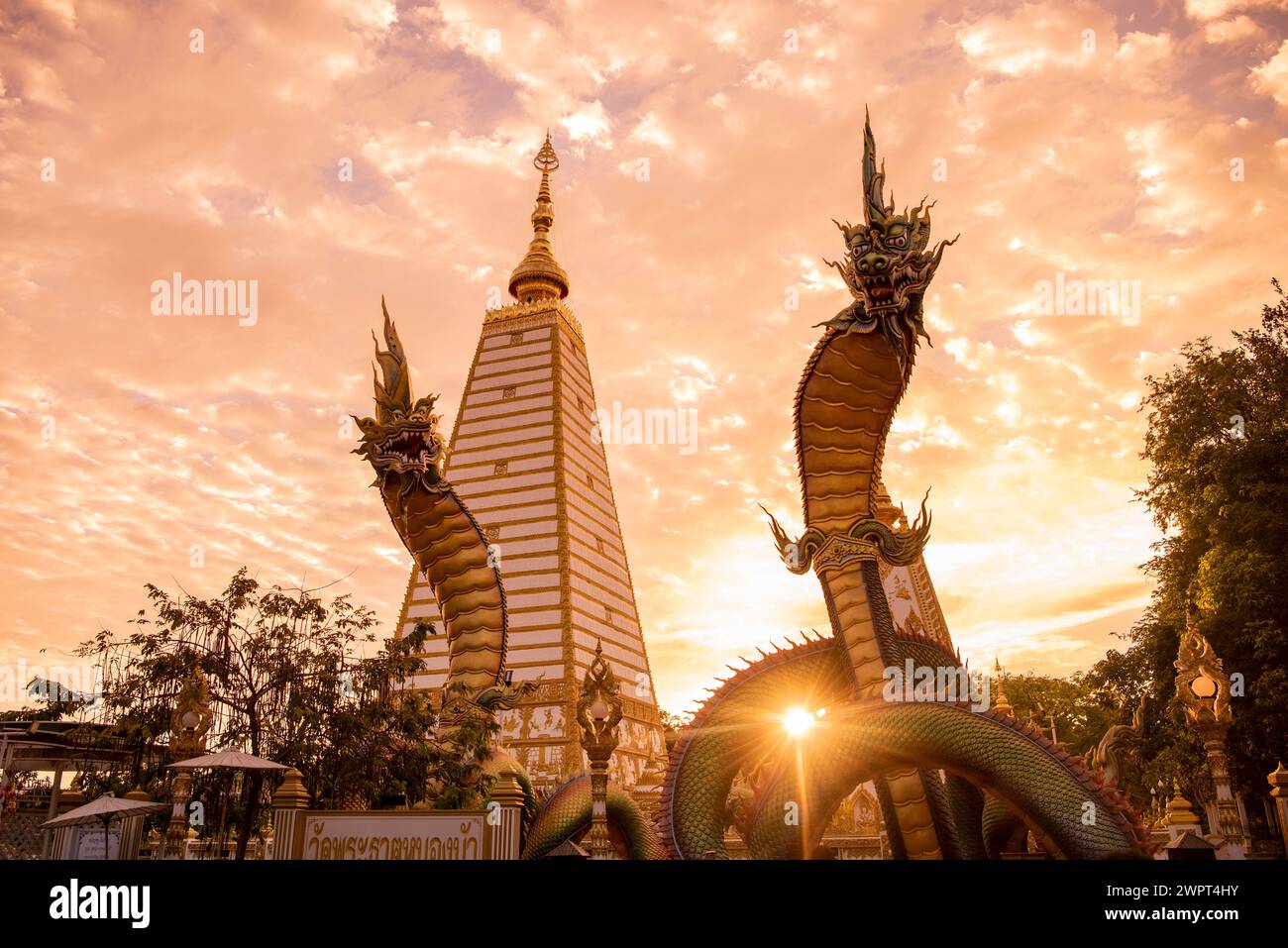 Der Sri Maha Pho Chedi von Wat Phra That Nong Bua Tempel im Stadtzentrum von Udon Ratchathani und Provinz Ubon Ratchathani in Thailand. Thailand, U Stockfoto