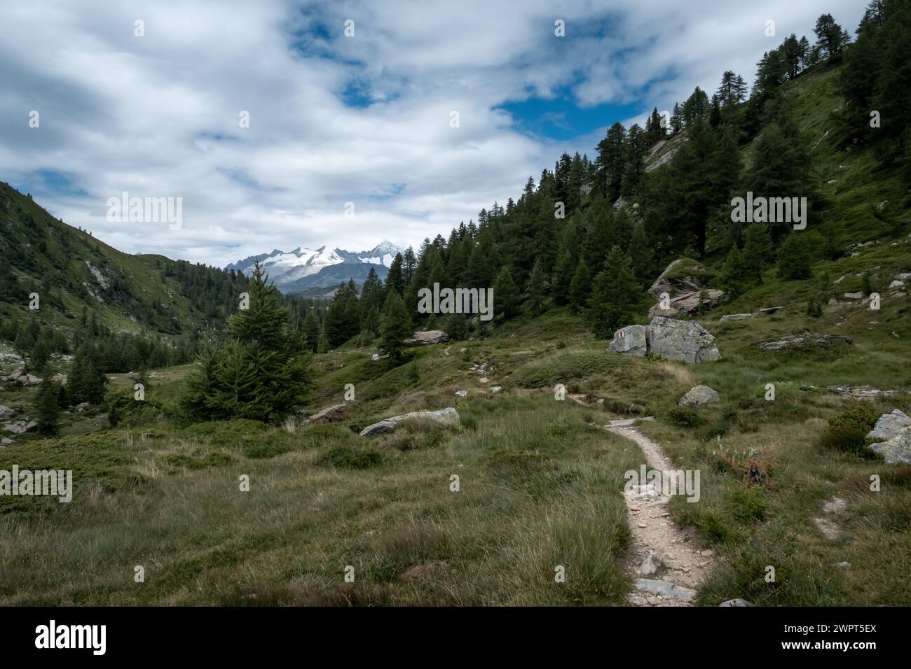 Folgen Sie dem Pfad in den Schweizer Bergen, um die wunderschöne Landschaft an einem bewölkten Tag zu beobachten Stockfoto