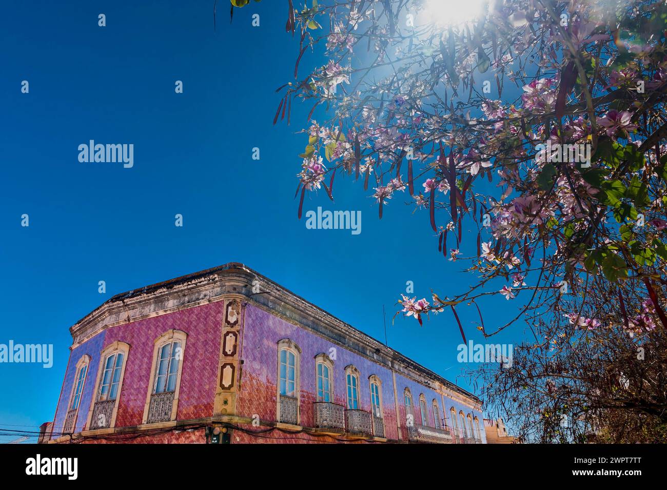 Haus mit Azulejo-Fassade, altes Gebäude, Architektur, Fliesen, Handwerk, traditionell, Tradition, Gebäude, Eigentum, Fliesen, Architektur, Baum, Pflanze Stockfoto