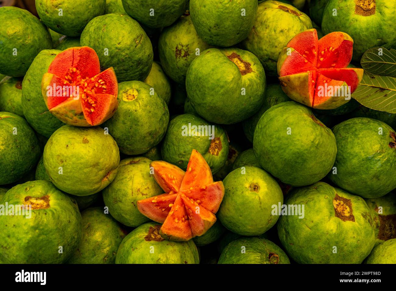 Frisches Obst zum Verkauf, UNESCO-Stätte, Ahmedabad, Gujarat, Indien Stockfoto