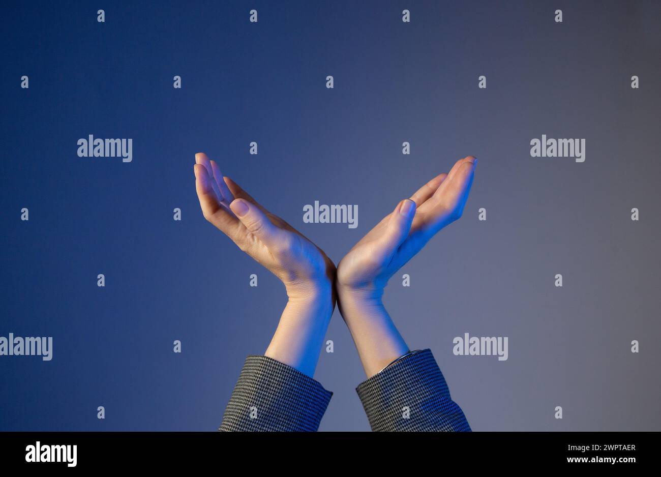 Eine Geschäftsfrau hält ihre Hände ausgestreckt, die Handgelenke nach innen und zusammen. Keine Fläche. Blaue Farbkorrektur Stockfoto