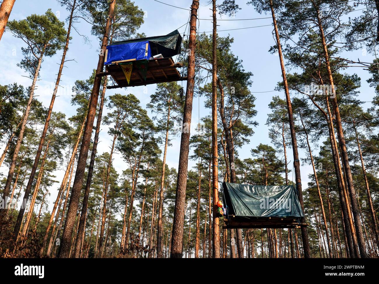 Baumhäuser im Wald bei Gruenheide. Die Aktivistengruppe Stop Tesla hat Baumhäuser im Wald gebaut, um gegen die geplante Erweiterung zu protestieren Stockfoto