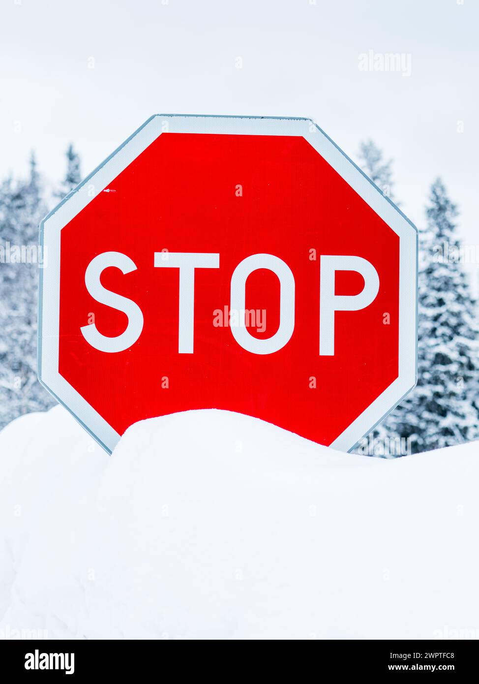 Ein rotes Stoppschild hebt sich vom weißen, schneebedeckten Boden darunter ab und erzeugt einen starken Kontrast. Die Winterlandschaft verstärkt die Visi Stockfoto