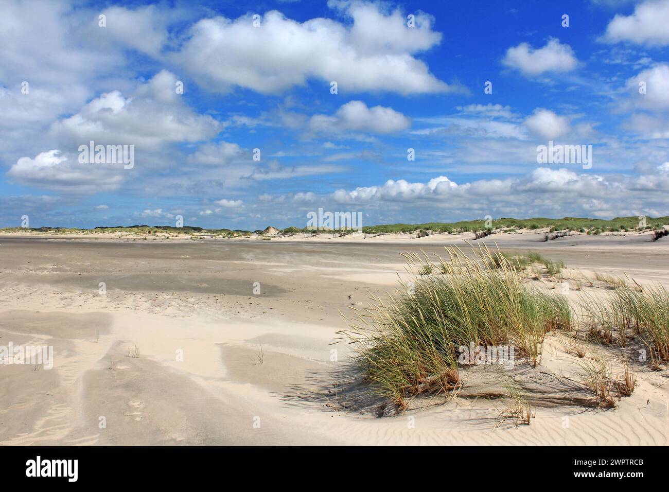 Sanddünen am Strand. Norderney, Ostfriesland, Niedersachsen, Bundesrepublik Deutschland Stockfoto