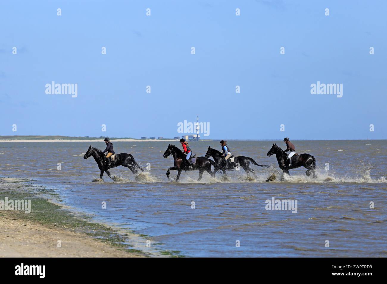 Reiter am Strand von Schillig, Wangerland, Niedersachsen, Ostfriesland, Niedersachsen, Bundesrepublik Deutschland Stockfoto