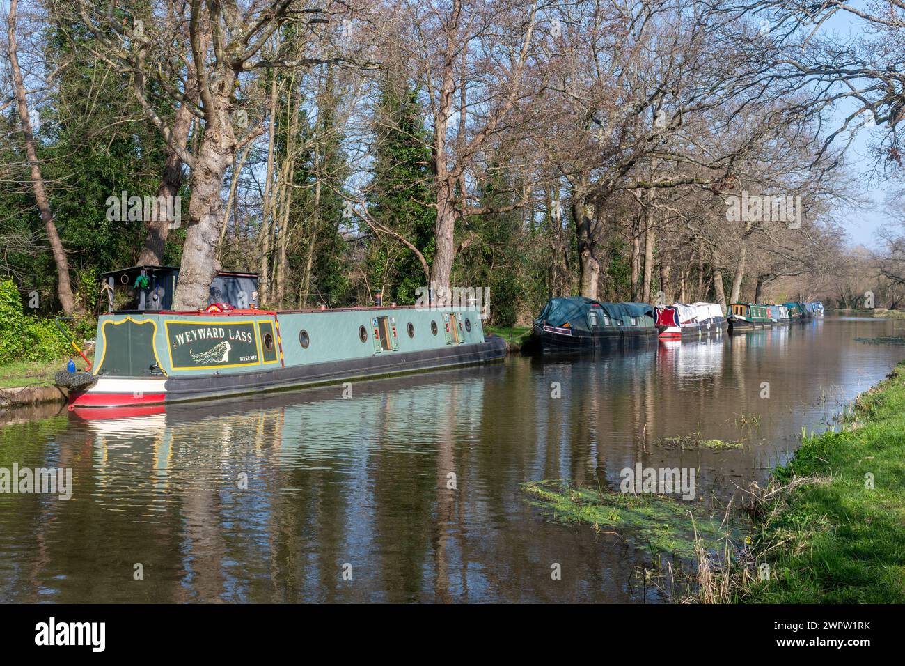 Kanalboote auf dem Fluss Wey Navigations in Surrey, England, Großbritannien Stockfoto