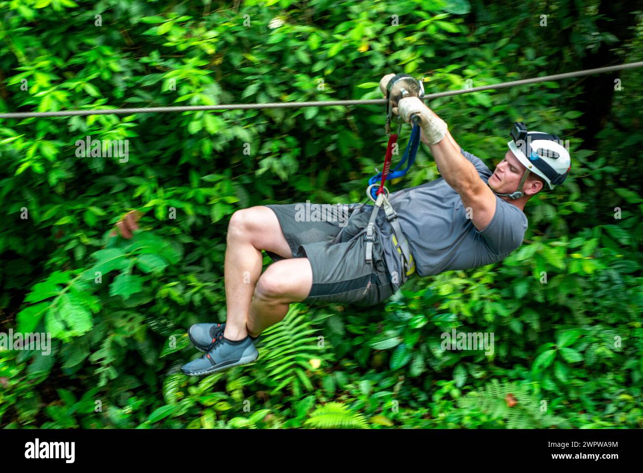 Canopy im Wald in El Castillo, Touristenfahrten die Canopy Zip Line Tour, Regenwald, Arenal, Costa Rica Stockfoto