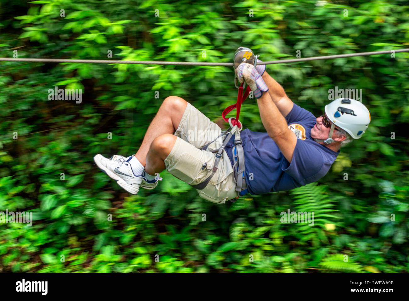 Canopy im Wald in El Castillo, Touristenfahrten die Canopy Zip Line Tour, Regenwald, Arenal, Costa Rica Stockfoto
