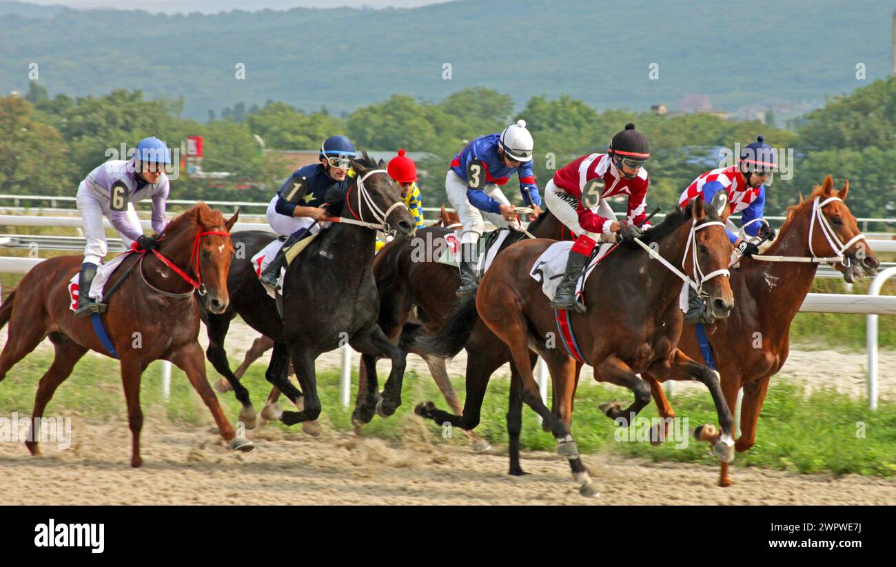 Das Pferderennen um den Sommerpreis auf dem Pyatigorsker hippodrom, Stockfoto