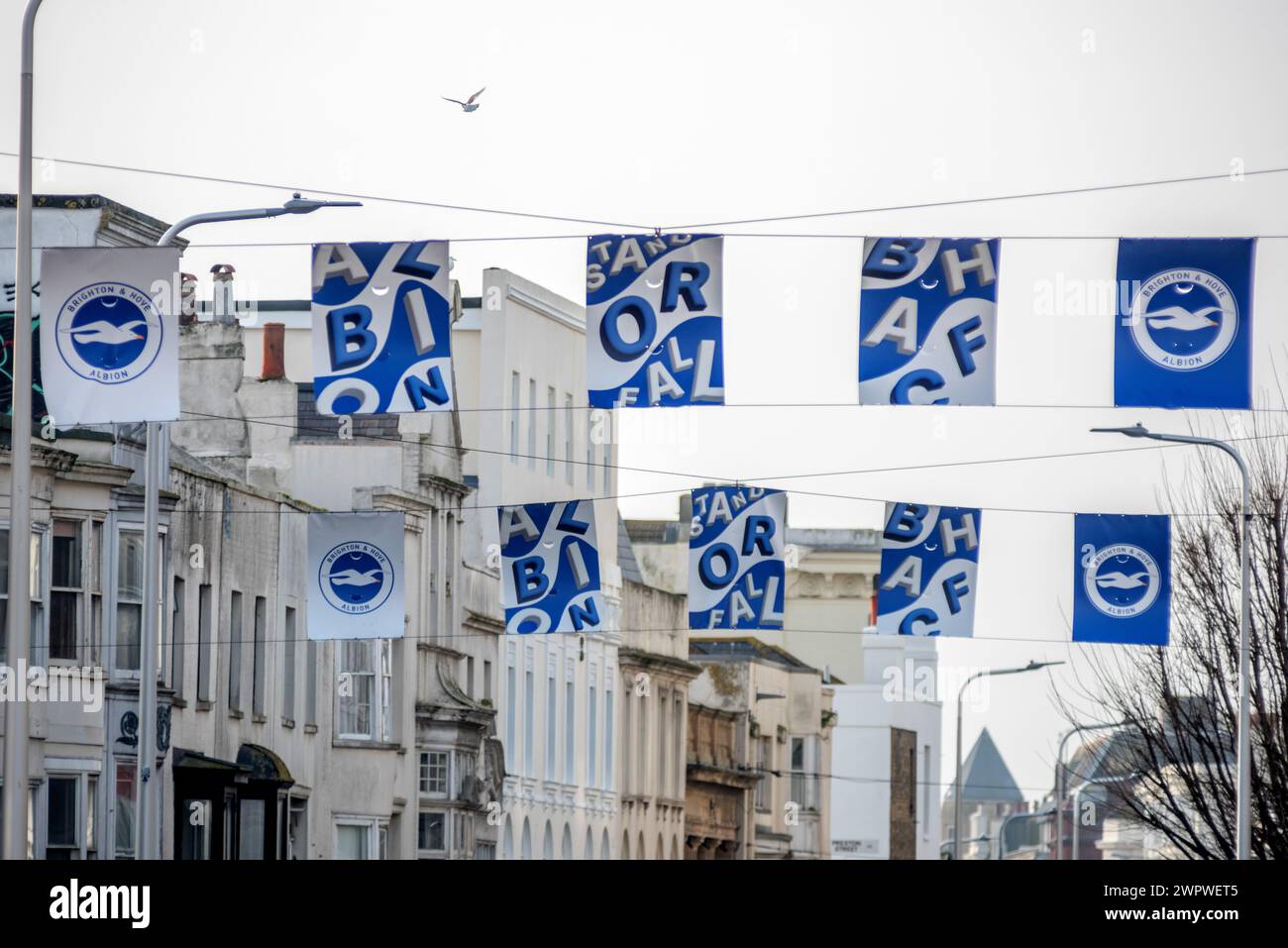 Brighton, 8. März 2024: City Centre Banner für Brighton und Hove Albion FC Stockfoto