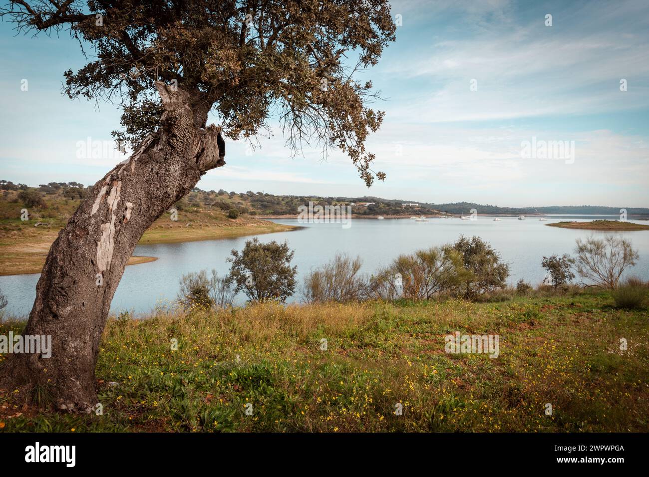 Landschaft des Alqueva-Staudamms in Alentejo Portugal Stockfoto