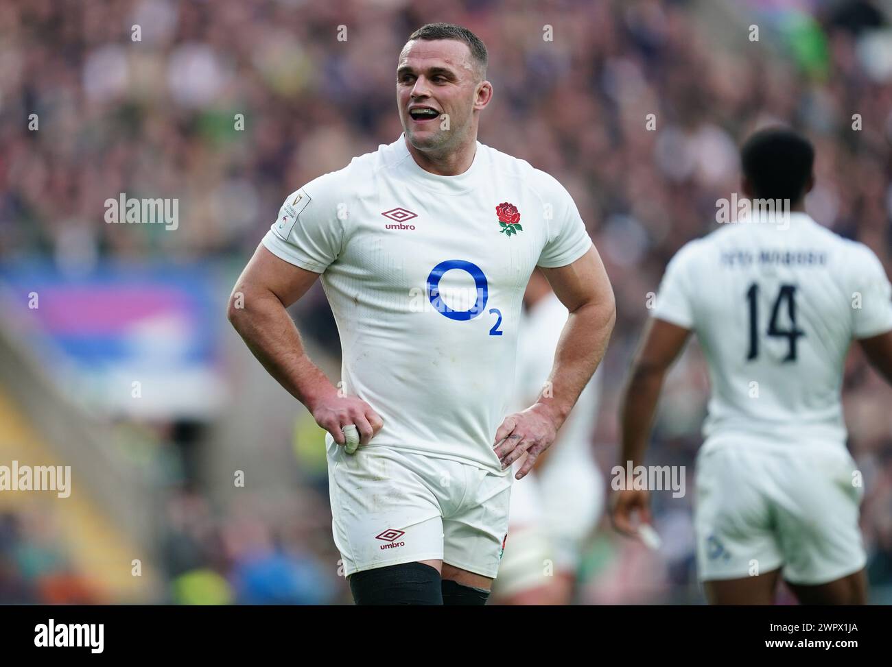 Englands Ben Earl während des Guinness Six Nations Spiels im Twickenham Stadium, London. Bilddatum: Samstag, 9. März 2024. Stockfoto