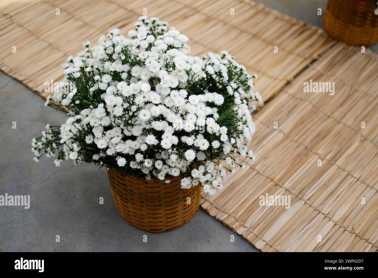 Detail einer wunderschönen festlichen Anordnung mit weißer Gänseblümchenblume Stockfoto