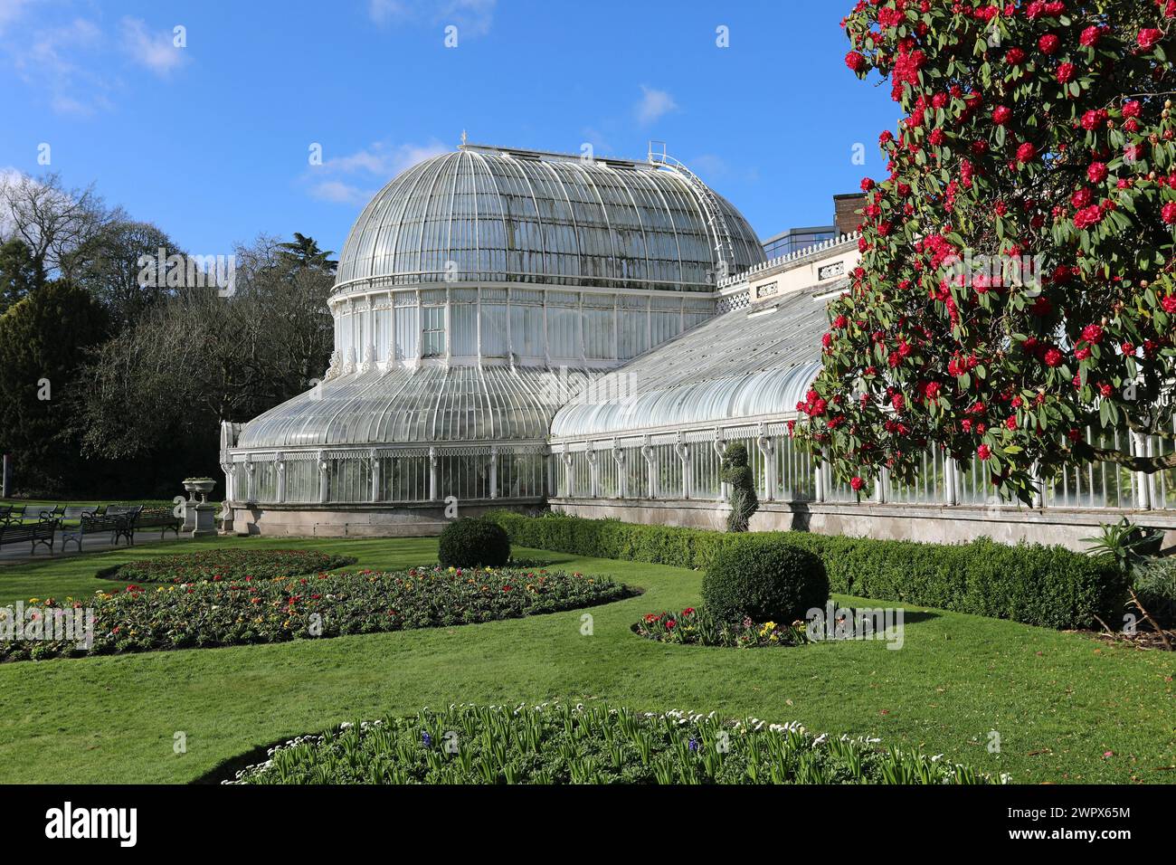 Gusseisernes Glashaus aus viktorianischer Zeit von Charles Lanyon in den Belfast Botanic Gardens Stockfoto