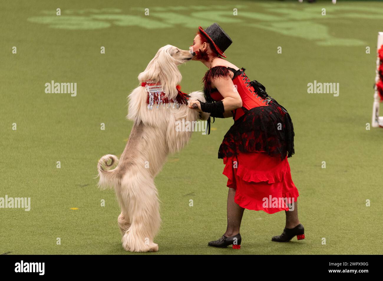 CRUFTS 2024 MAIN ARENA INTERNATIONAL FREESTYLE HEELWORK ZUM MUSIKFINALE GENTING ARENA Stockfoto