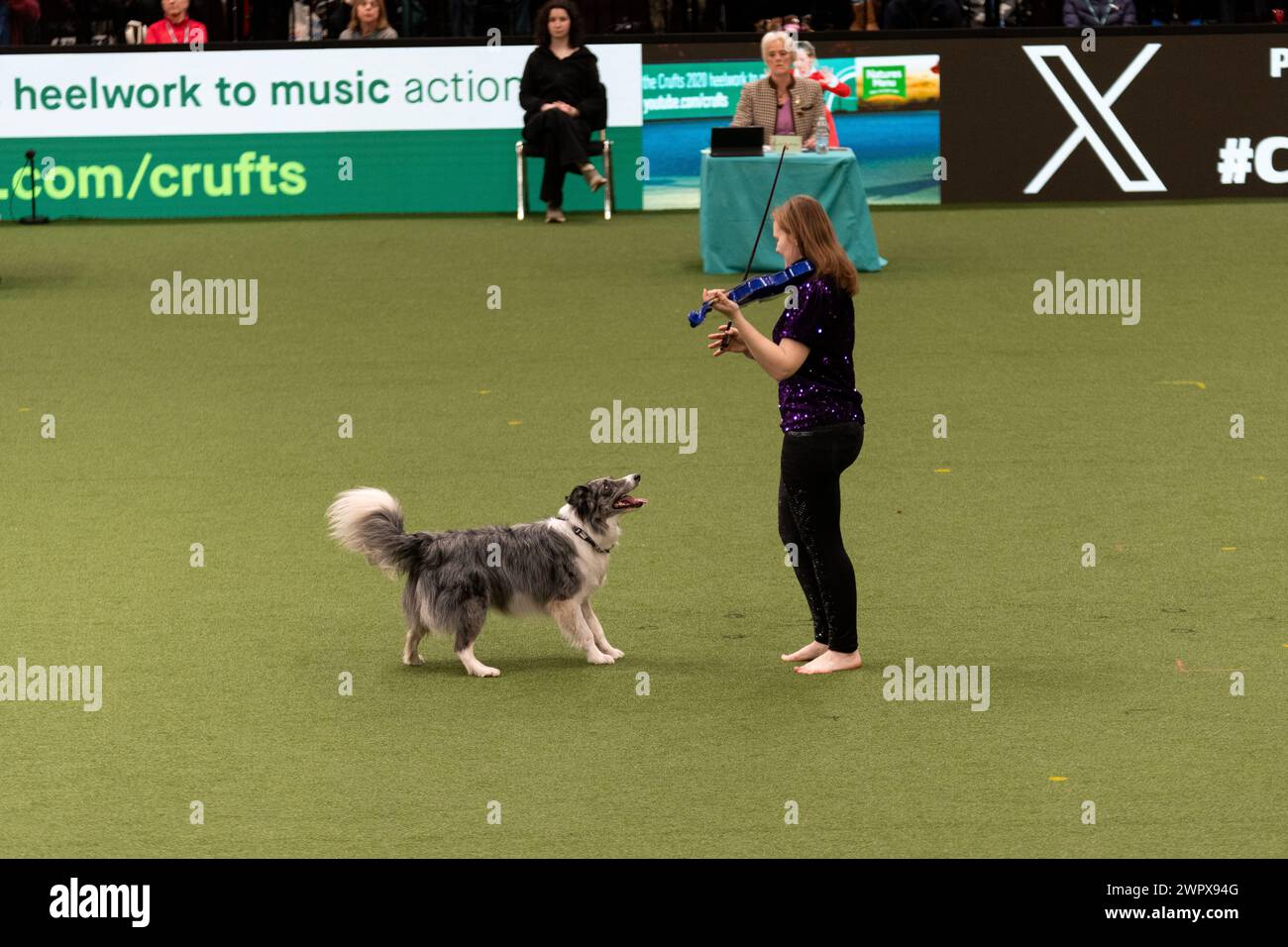 CRUFTS 2024 MAIN ARENA INTERNATIONAL FREESTYLE HEELWORK ZUM MUSIKFINALE GENTING ARENA Stockfoto