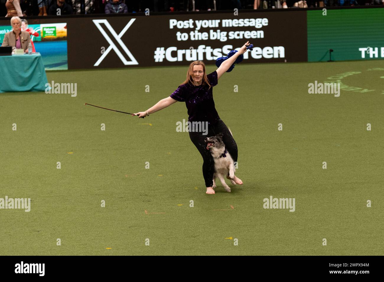 CRUFTS 2024 MAIN ARENA INTERNATIONAL FREESTYLE HEELWORK ZUM MUSIKFINALE GENTING ARENA Stockfoto