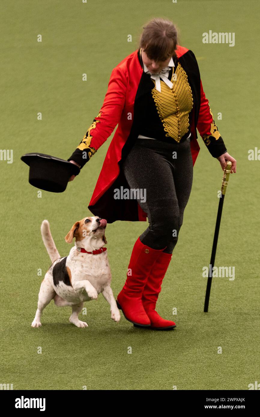 CRUFTS 2024 MAIN ARENA INTERNATIONAL FREESTYLE HEELWORK ZUM MUSIKFINALE GENTING ARENA Stockfoto