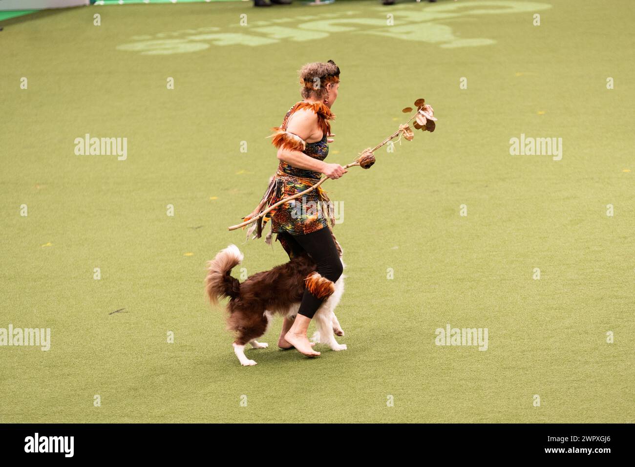 Birmingham Großbritannien. März 2024. Crufts 2024 Internatonal Freestyle Heelwork to Music Genting Arena, Main Arena Credit: victoria elsmore/Alamy Live News Stockfoto