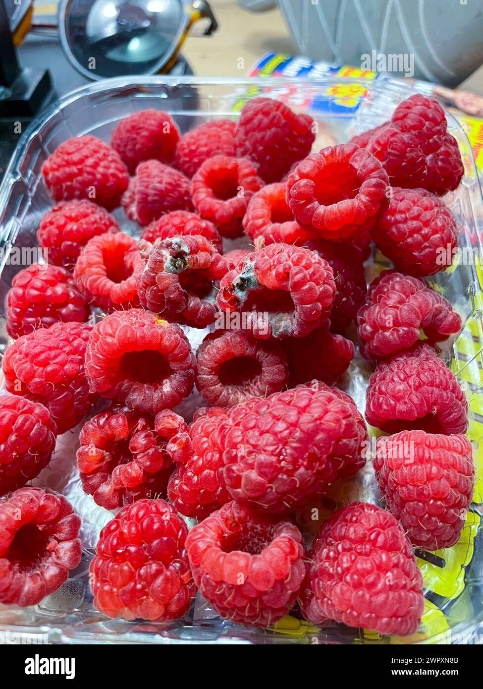Himbeeren durch Schimmel ungenießbar, in Plastikverpackung Stockfoto