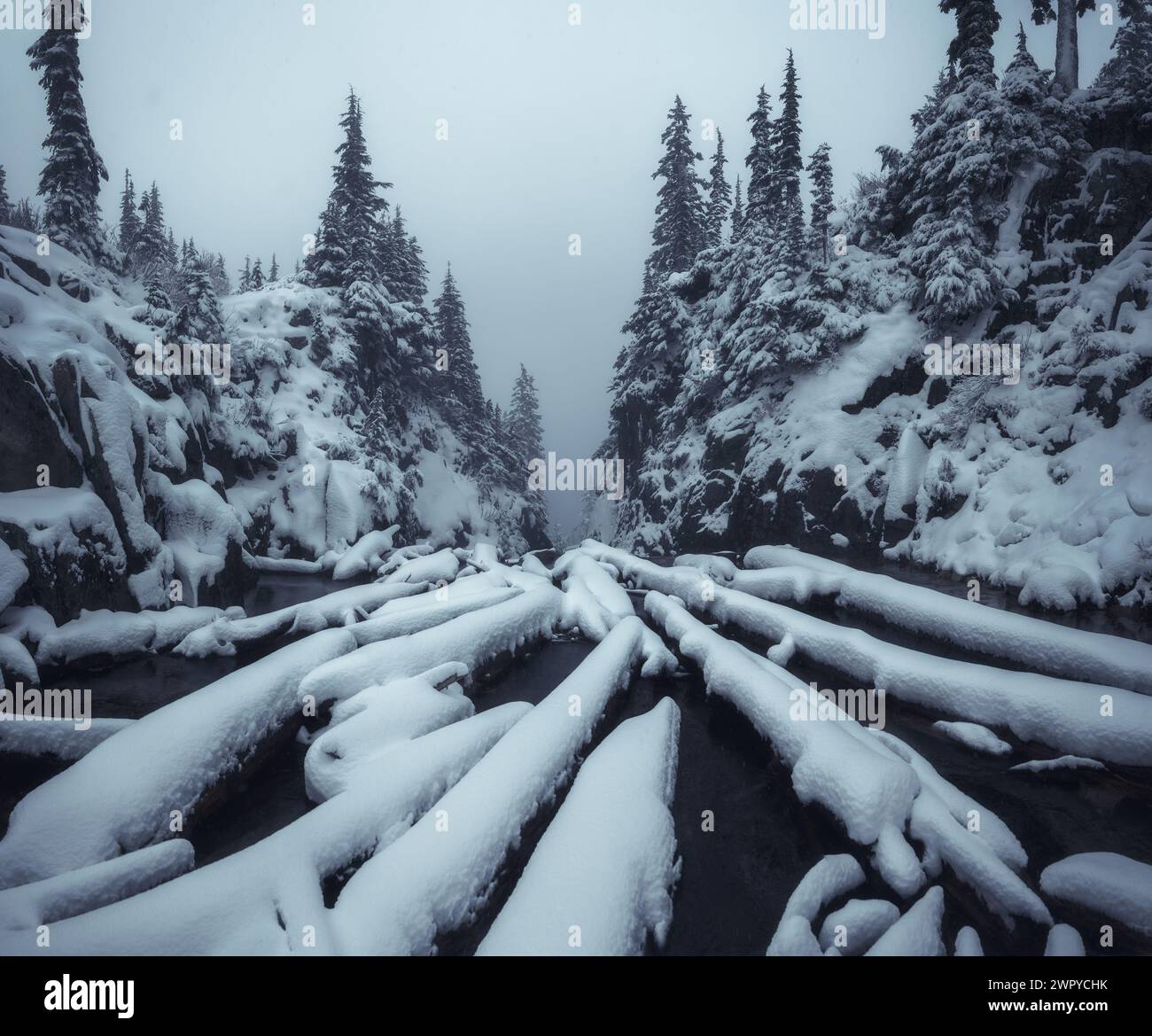 Gefallene Baumstämme am Rande eines stimmungsvollen nebeligen Bergsees, leicht mit frischem Herbstschnee bestäubt Stockfoto