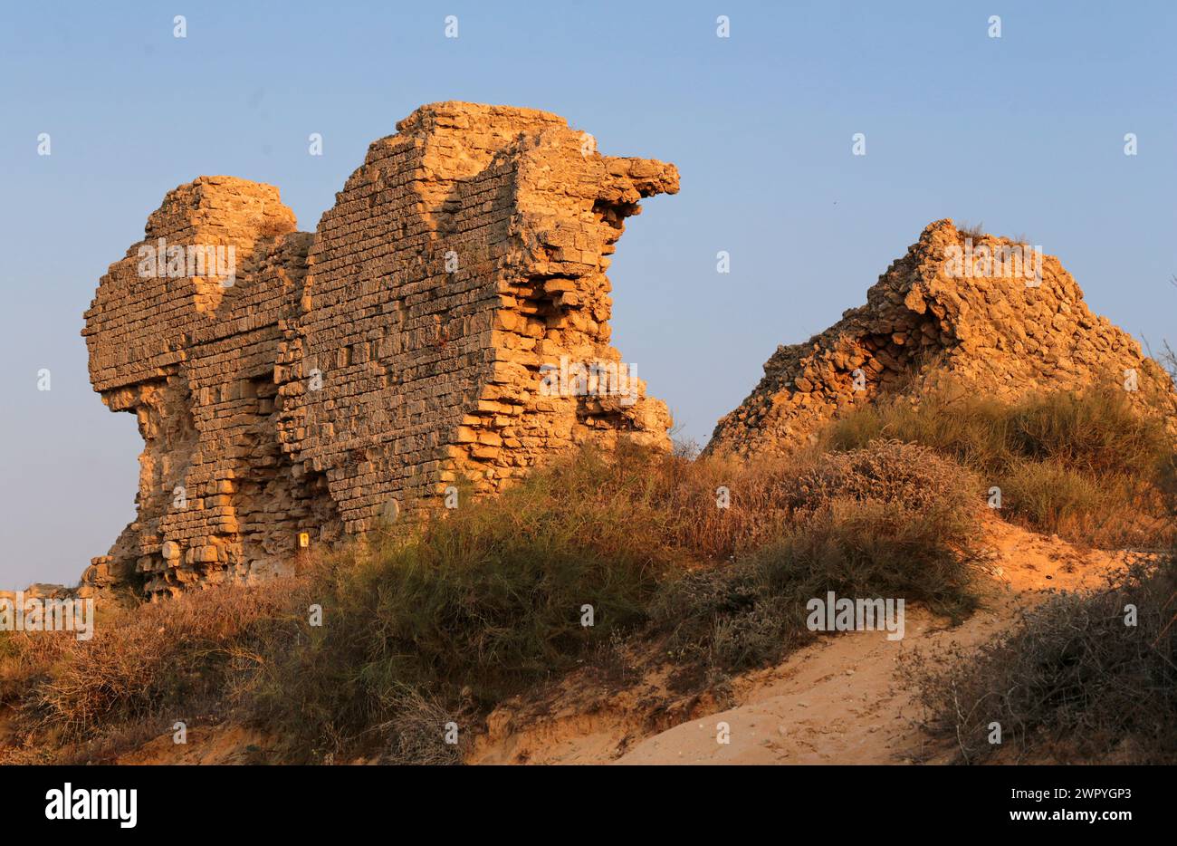 Ruinen der antiken Stadt des biblischen Aschkelon in Israel. Stockfoto