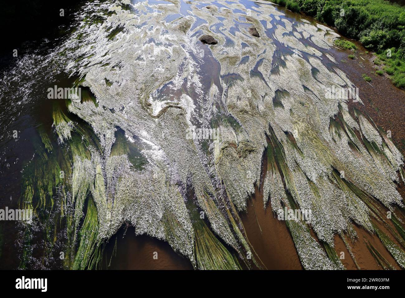 Der Fluss Vézère fließt vor der Klippe, in die sich die Troglodytenfestung La Roque Saint-Christophe im Périgord Noir befindet. Vorgeschichte, Histor Stockfoto