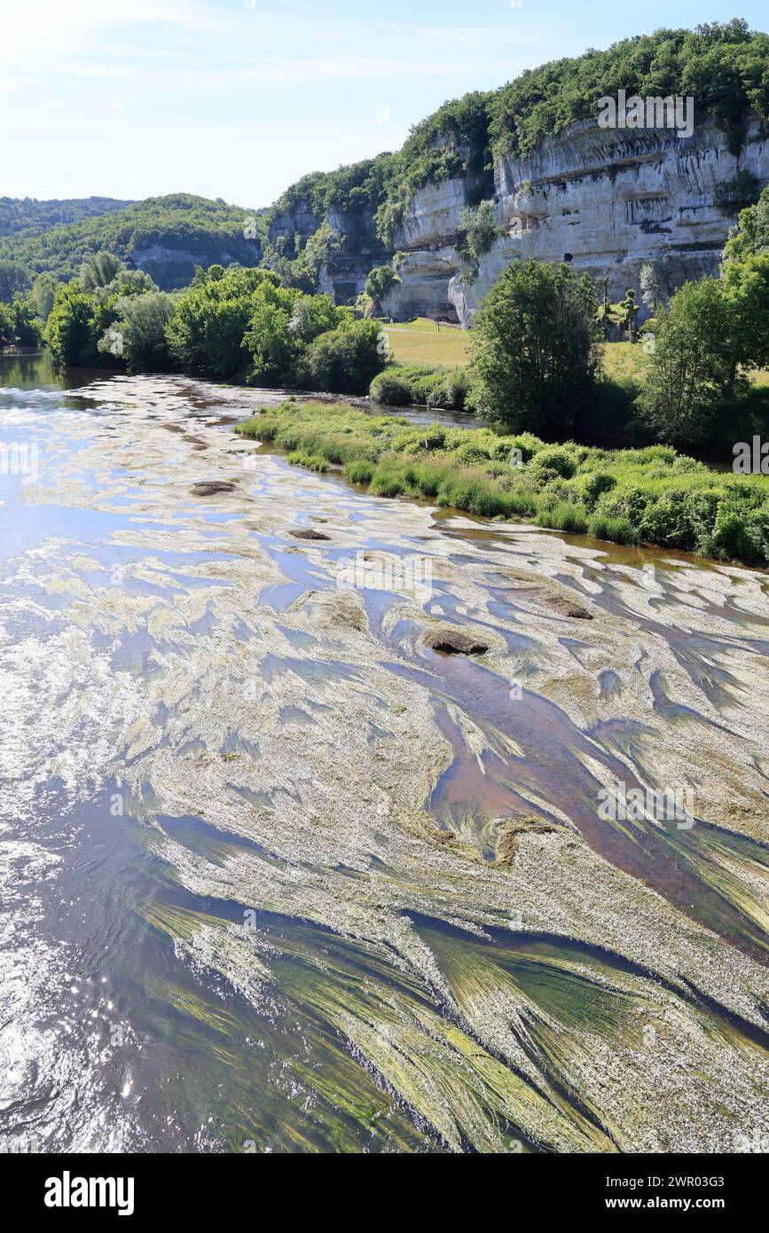 Der Fluss Vézère fließt vor der Klippe, in die sich die Troglodytenfestung La Roque Saint-Christophe im Périgord Noir befindet. Vorgeschichte, Histor Stockfoto