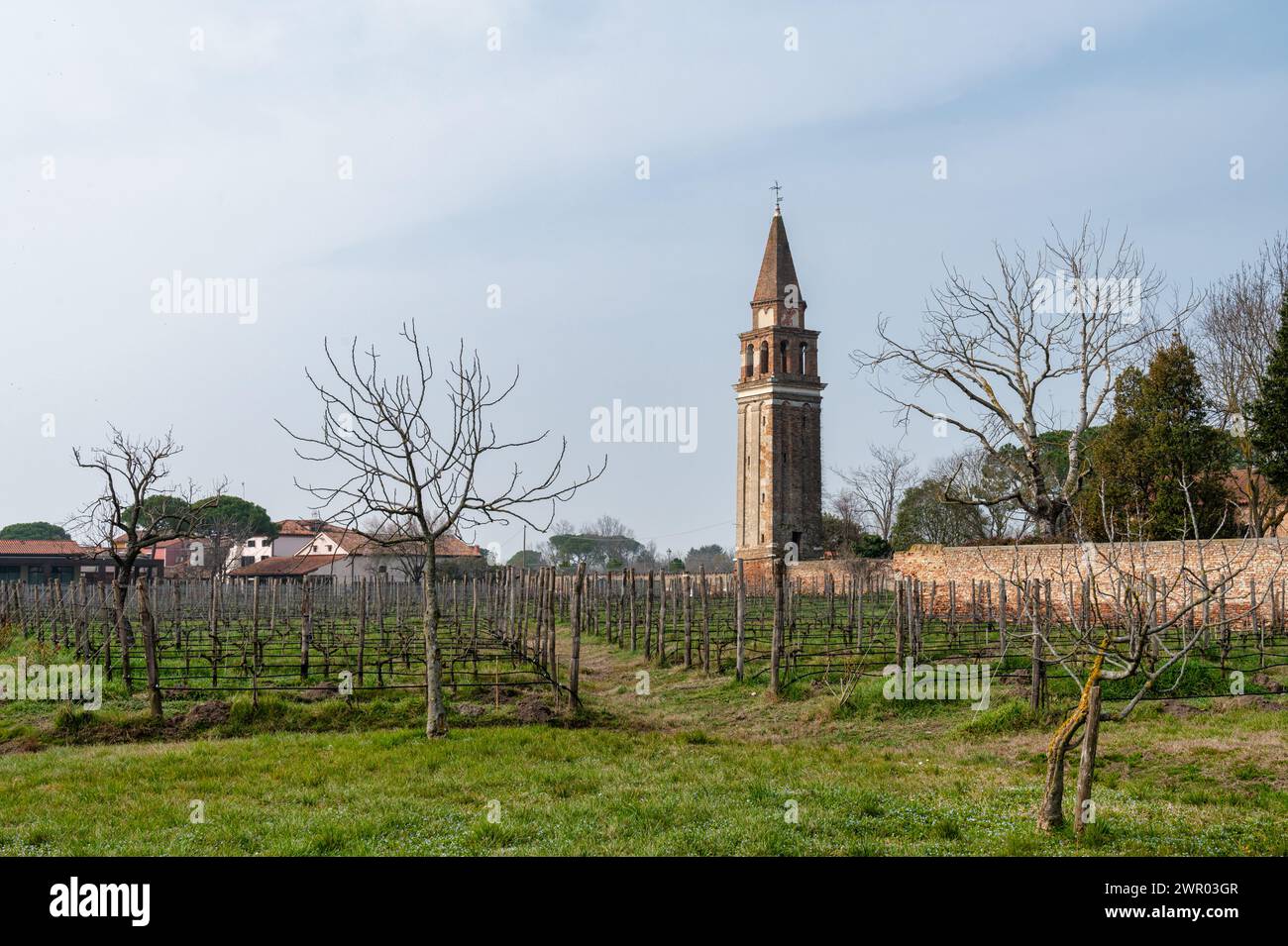 Mazzorbo, Italien - 25. Februar 2023: Mittelalterlicher Turm und Weinberg in Mazzorbo Italien Stockfoto