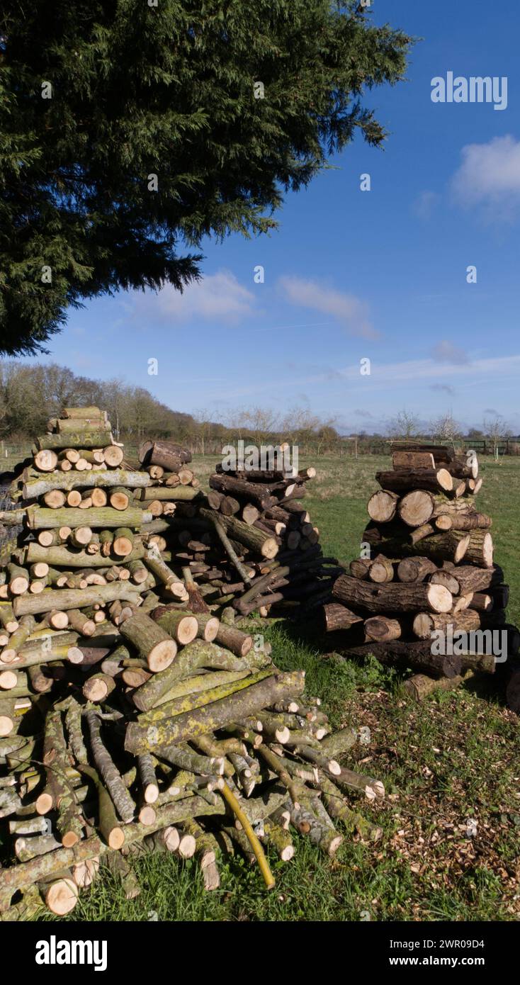 Holzstapel auf einem Feld Stockfoto