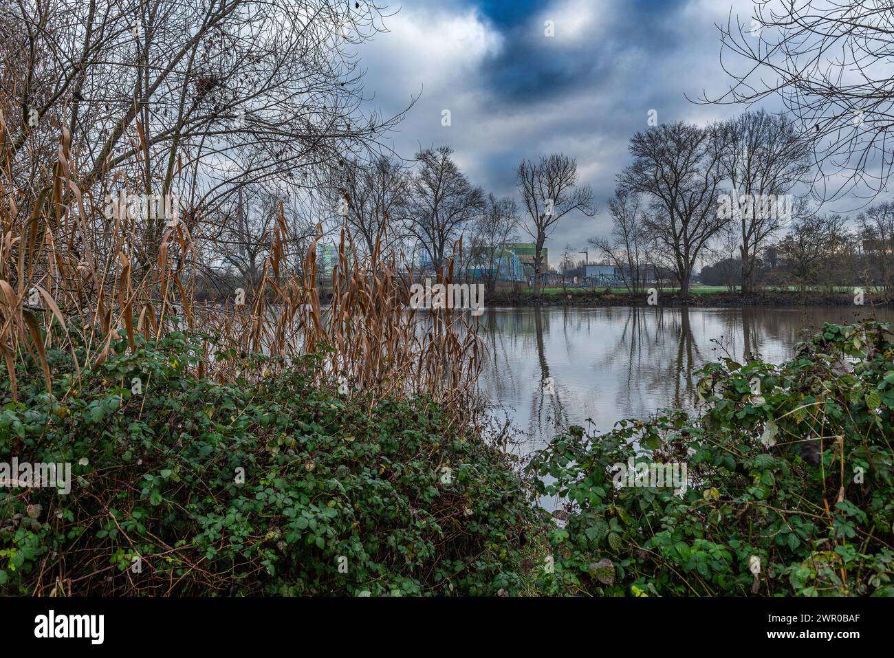 Der Hauptfluss im Winter bei Frankfurt-Hoechst Stockfoto