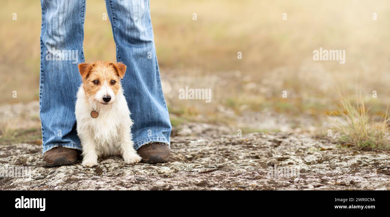Niedliches Hündchen, das zwischen den Beinen ihres Besitzers sitzt. Reisen mit Haustier-Banner. Stockfoto