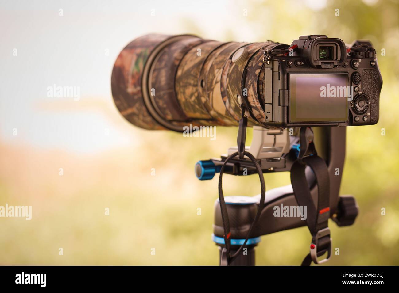 Digitalkamera mit Teleobjektiv für die Aufnahme von Wildtieren Stockfoto