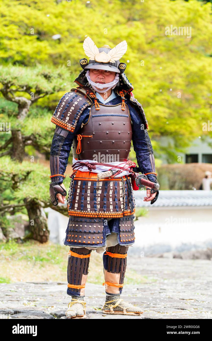 Japanischer Mann in einer samuraifarbenen Rüstung im Garten des Honmaru-Palastes auf der Burg Tatsuno in Japan. Kirschblüten-Petasl flattert nach unten. Stockfoto