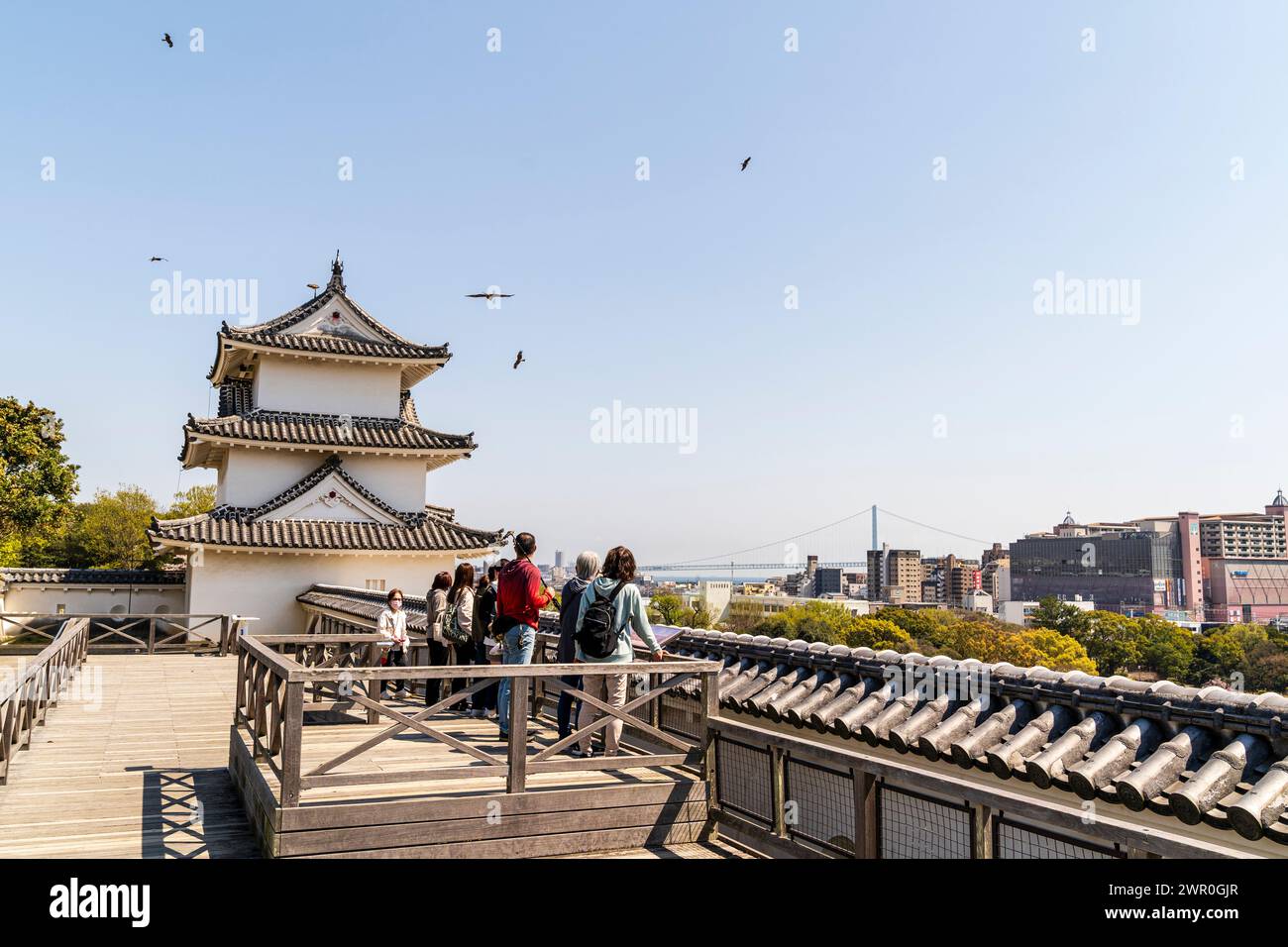Menschen, die auf einem hohen Punkt an den Mauern der Burg Akashi stehen und die Drachen beobachten, die um den Tatsumi Yagura fliegen, einem Turm in der Frühlingssonne Stockfoto