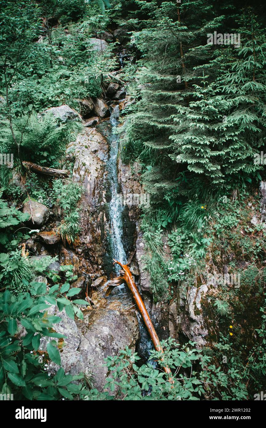 Bach fließt von hohen Bergen in der polnischen Tatra herunter Stockfoto