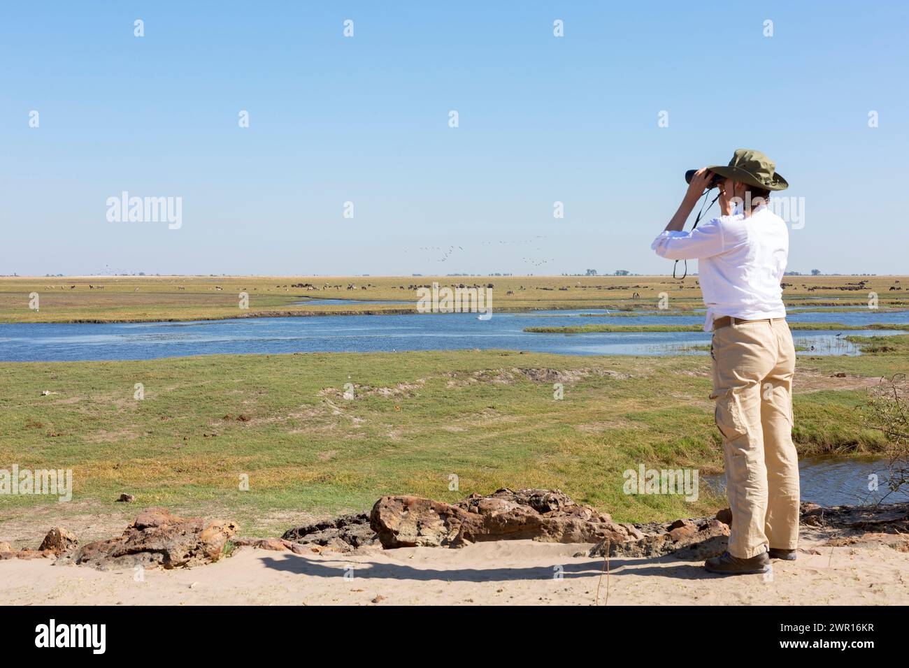 Touristen beobachten Wildtiere mit dem Fernglas am Chobe River bei Sonnenaufgang. Chobe Nationalpark, berühmtes Wildnisreservat und gehobenes Reiseziel in Nami Stockfoto