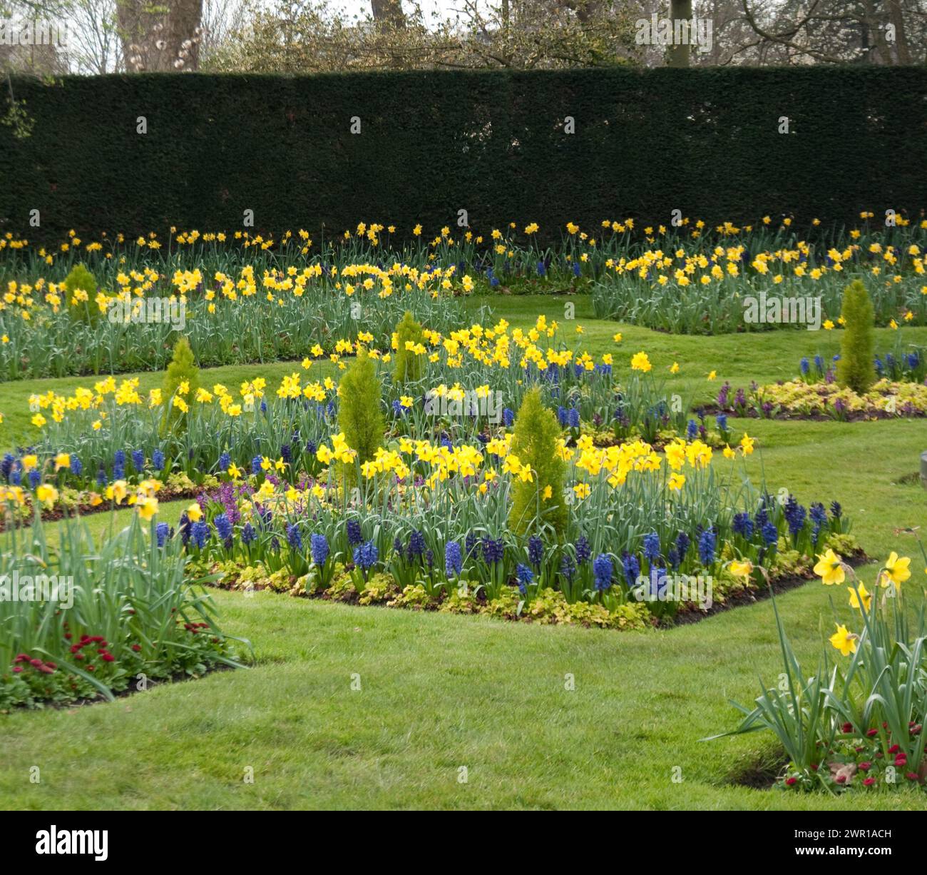 Reizvoller Garten, Regent's Park, City of Westminster, London, Großbritannien; Narzissen; Primrose; Krokus; Hyazinthen Stockfoto