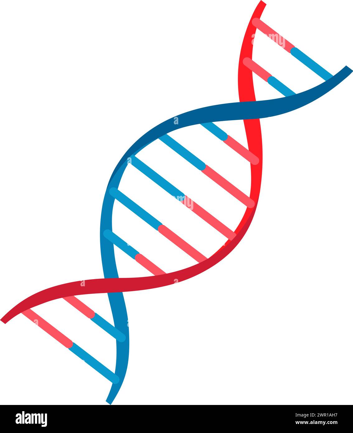 Vektorabbildung. DNA-Molekül-Symbol auf weißem Hintergrund. Stock Vektor