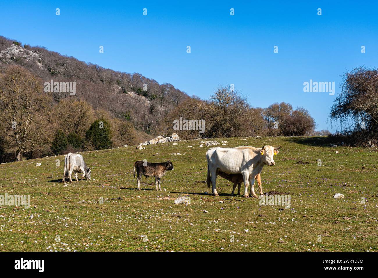 Malerische Aussicht auf Monte Gennaro, in der Nähe des Dorfes San Polo dei Cavalieri, in der Provinz Rom, Latium, Italien. Stockfoto