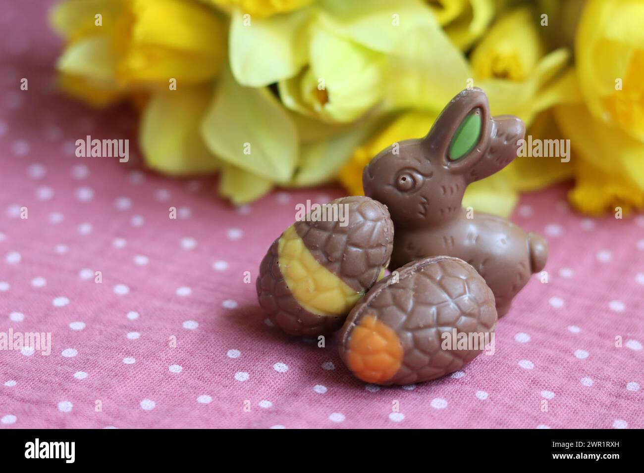 Osterschokolade-Häschen und Narzissen auf rosa Tischdecke. Helle und farbenfrohe Osterkarte. Stockfoto